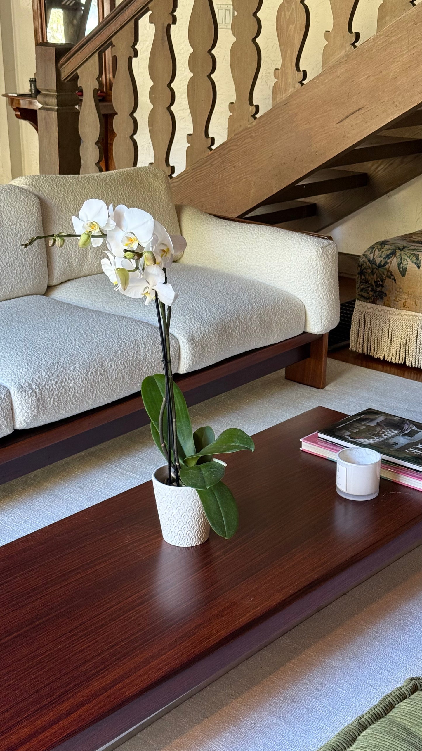 The Bastiano 4seater sofa by Afra & Tobia Scarpa for Gavina, Italy 1966