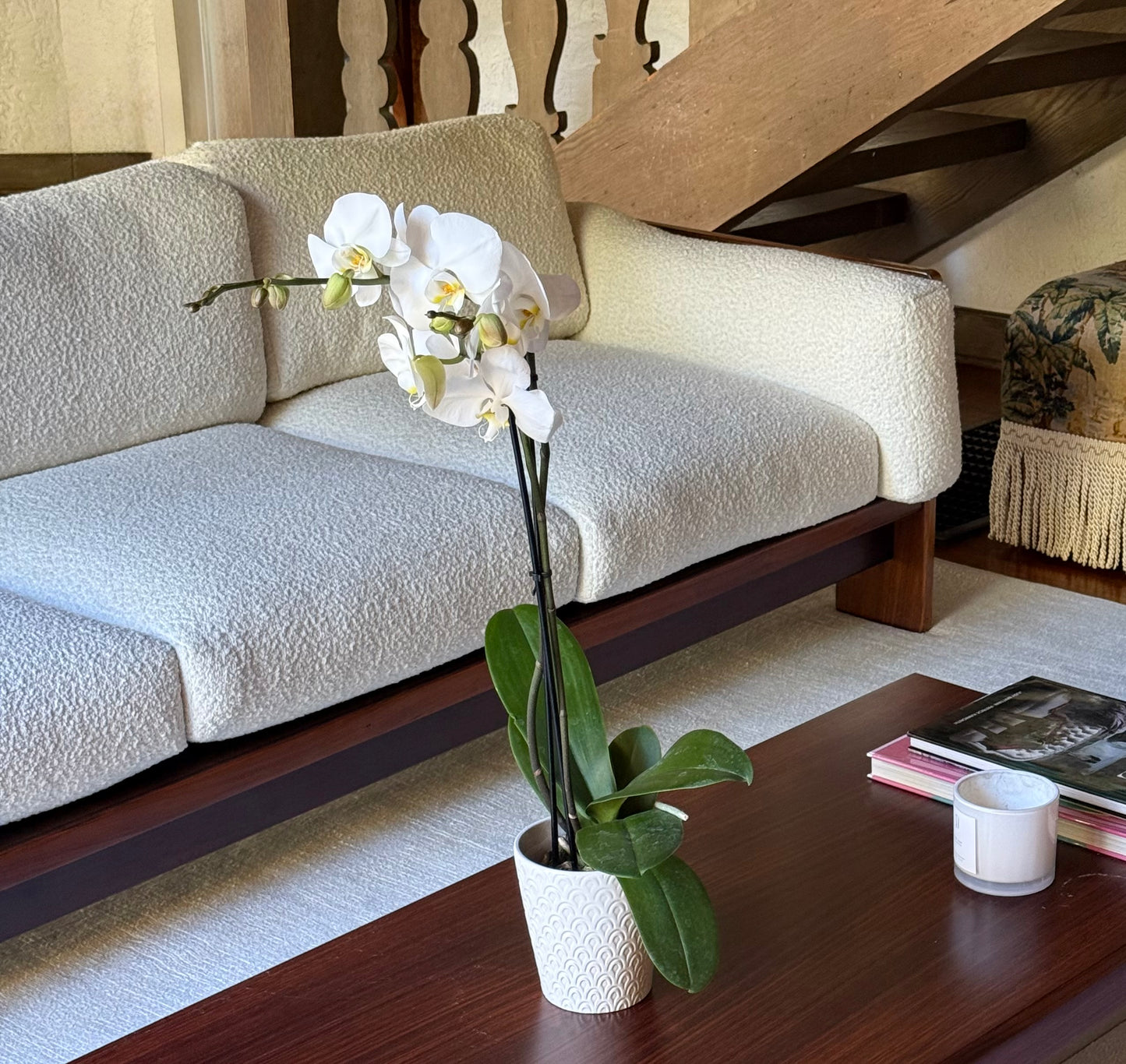 The Bastiano 4seater sofa by Afra & Tobia Scarpa for Gavina, Italy 1966